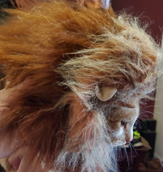 ♧ Pet Costume, XS, new - Picture 1 of 7